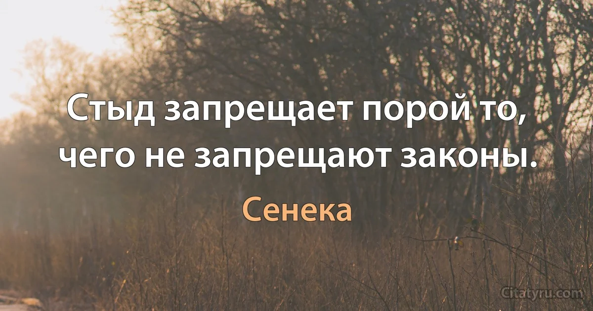 Стыд запрещает порой то, чего не запрещают законы. (Сенека)