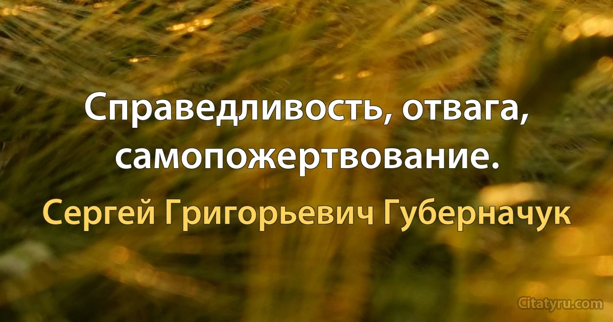 Справедливость, отвага, самопожертвование. (Сергей Григорьевич Губерначук)