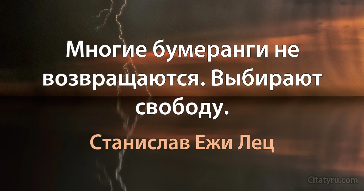 Многие бумеранги не возвращаются. Выбирают свободу. (Станислав Ежи Лец)