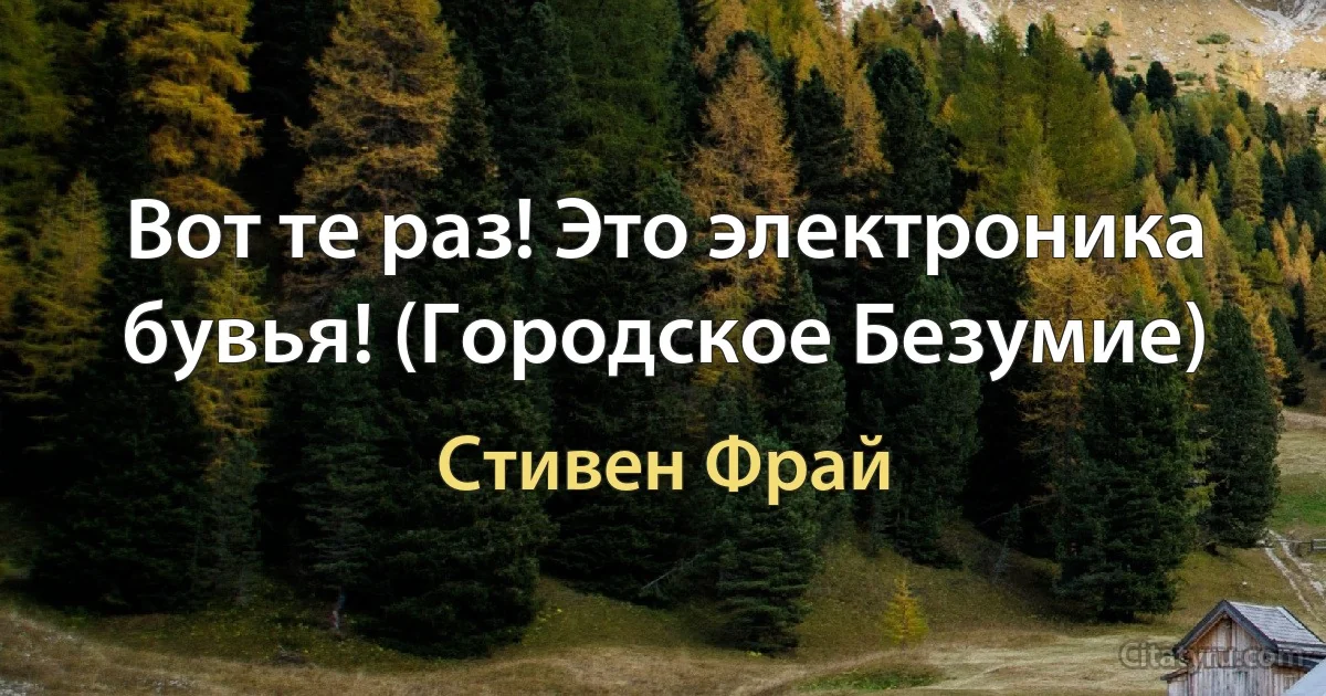 Вот те раз! Это электроника бувья! (Городское Безумие) (Стивен Фрай)