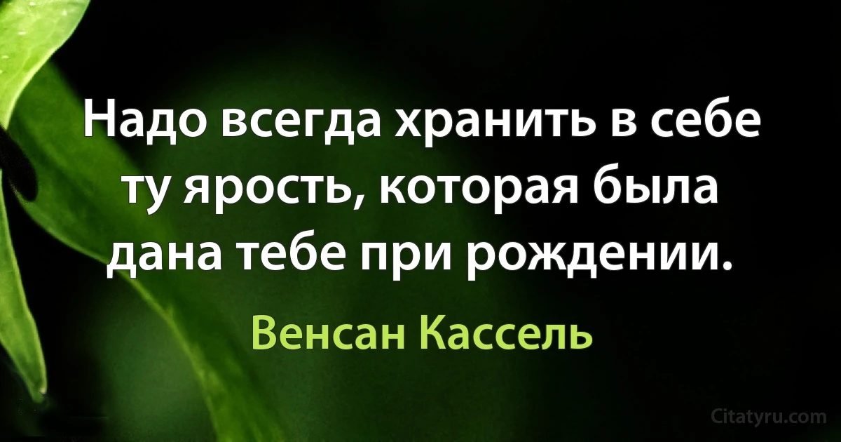 Надо всегда хранить в себе ту ярость, которая была дана тебе при рождении. (Венсан Кассель)