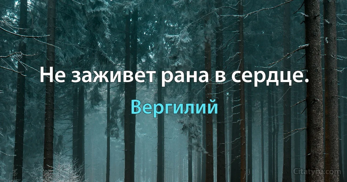 Не заживет рана в сердце. (Вергилий)