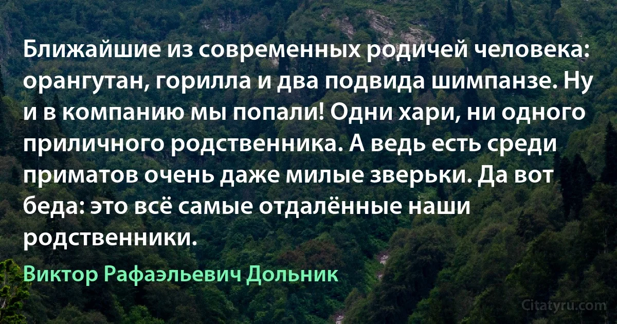 Ближайшие из современных родичей человека: орангутан, горилла и два подвида шимпанзе. Ну и в компанию мы попали! Одни хари, ни одного приличного родственника. А ведь есть среди приматов очень даже милые зверьки. Да вот беда: это всё самые отдалённые наши родственники. (Виктор Рафаэльевич Дольник)