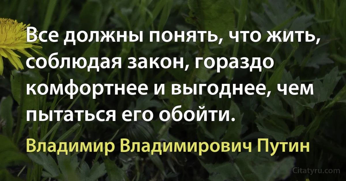 Все должны понять, что жить, соблюдая закон, гораздо комфортнее и выгоднее, чем пытаться его обойти. (Владимир Владимирович Путин)