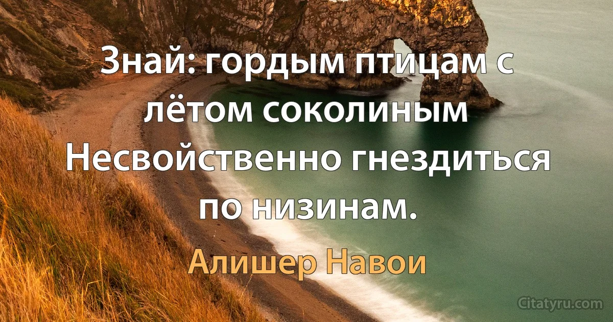 Знай: гордым птицам с лётом соколиным
Несвойственно гнездиться по низинам. (Алишер Навои)