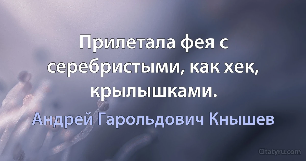 Прилетала фея с серебристыми, как хек, крылышками. (Андрей Гарольдович Кнышев)