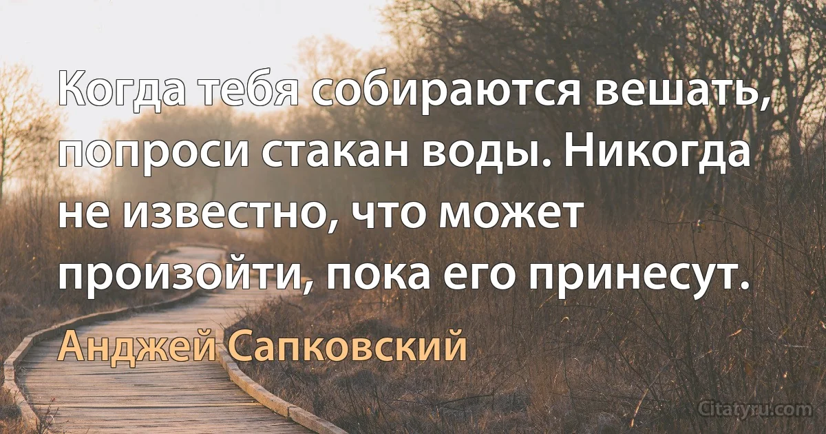 Когда тебя собираются вешать, попроси стакан воды. Никогда не известно, что может произойти, пока его принесут. (Анджей Сапковский)