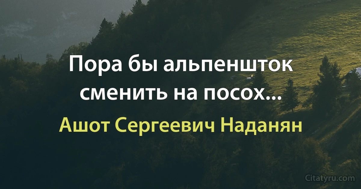 Пора бы альпеншток сменить на посох... (Ашот Сергеевич Наданян)