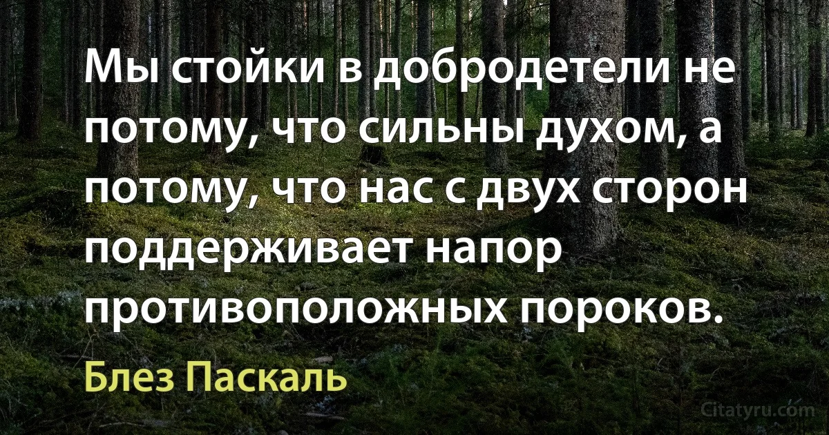 Мы стойки в добродетели не потому, что сильны духом, а потому, что нас с двух сторон поддерживает напор противоположных пороков. (Блез Паскаль)