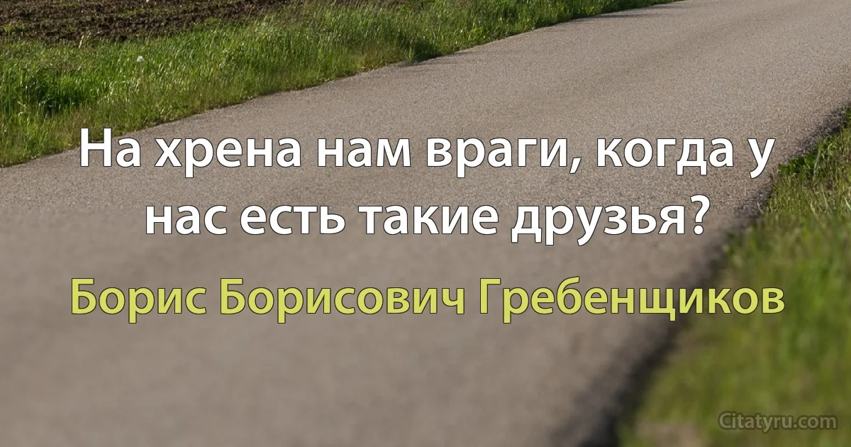 На хрена нам враги, когда у нас есть такие друзья? (Борис Борисович Гребенщиков)