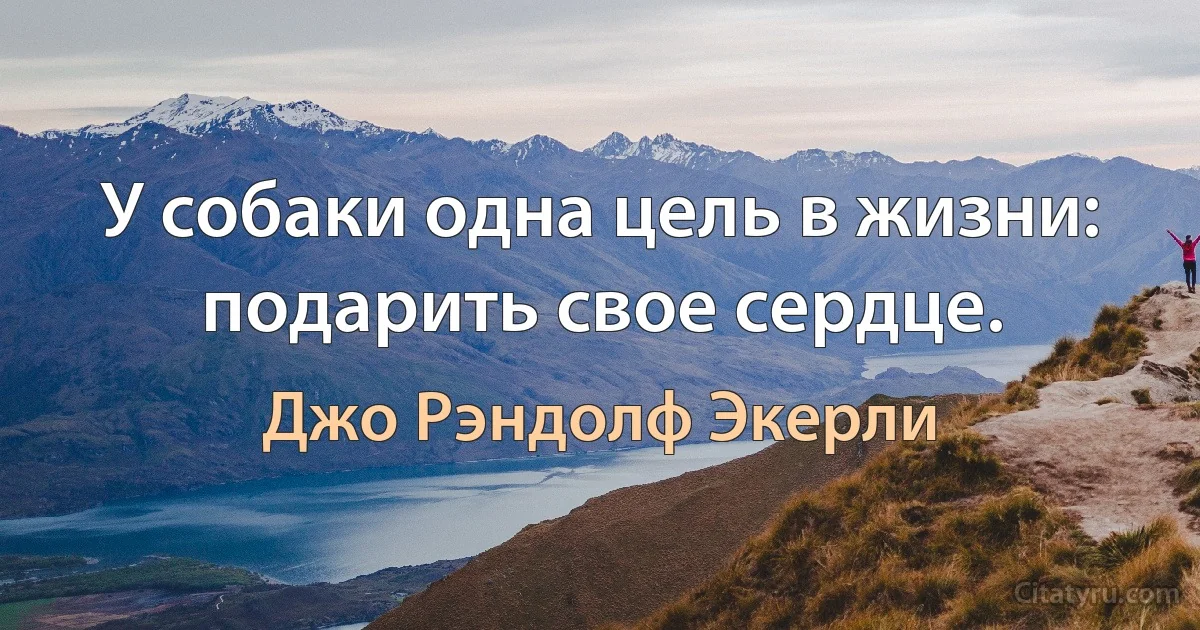 У собаки одна цель в жизни: подарить свое сердце. (Джо Рэндолф Экерли)