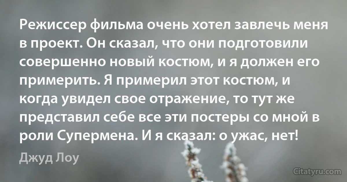 Режиссер фильма очень хотел завлечь меня в проект. Он сказал, что они подготовили совершенно новый костюм, и я должен его примерить. Я примерил этот костюм, и когда увидел свое отражение, то тут же представил себе все эти постеры со мной в роли Супермена. И я сказал: о ужас, нет! (Джуд Лоу)