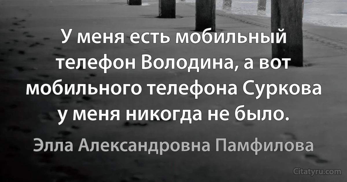 У меня есть мобильный телефон Володина, а вот мобильного телефона Суркова у меня никогда не было. (Элла Александровна Памфилова)