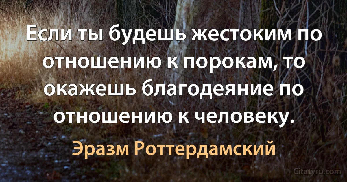 Если ты будешь жестоким по отношению к порокам, то окажешь благодеяние по отношению к человеку. (Эразм Роттердамский)