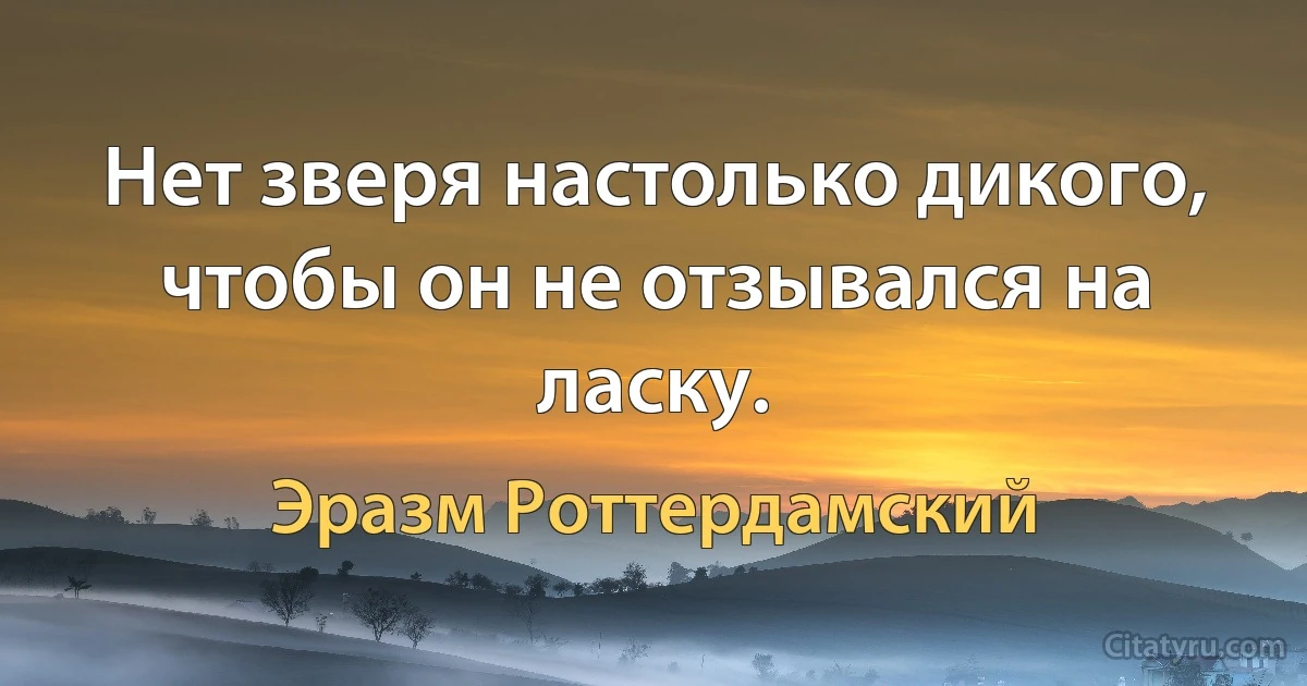 Нет зверя настолько дикого, чтобы он не отзывался на ласку. (Эразм Роттердамский)