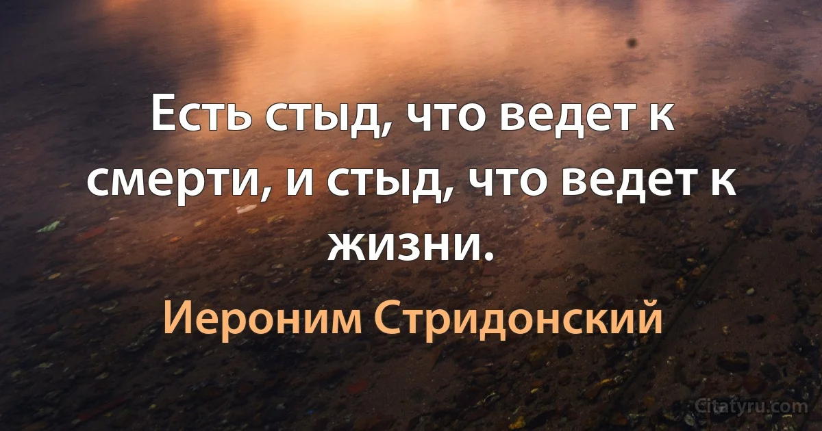 Есть стыд, что ведет к смерти, и стыд, что ведет к жизни. (Иероним Стридонский)