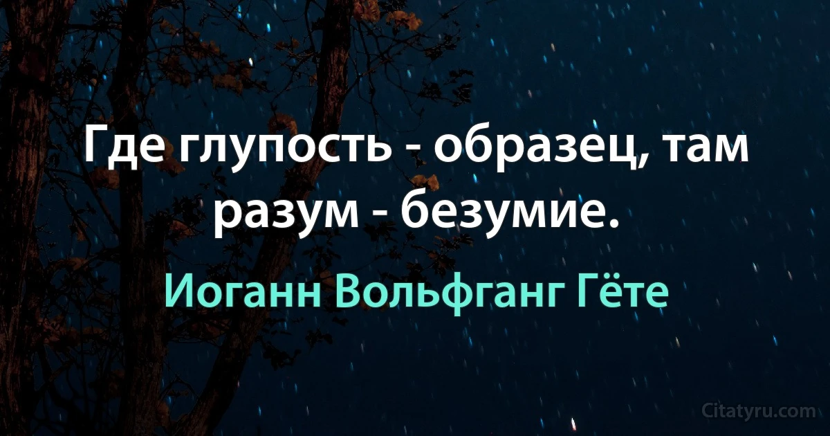 Где глупость - образец, там разум - безумие. (Иоганн Вольфганг Гёте)