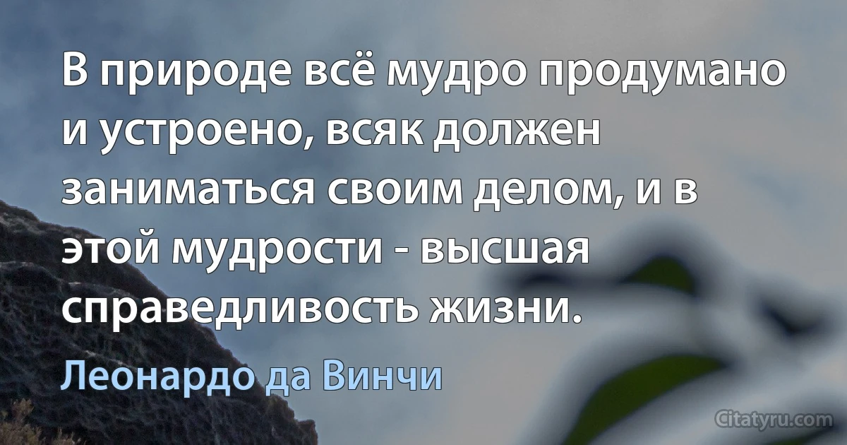 В природе всё мудро продумано и устроено, всяк должен заниматься своим делом, и в этой мудрости - высшая справедливость жизни. (Леонардо да Винчи)