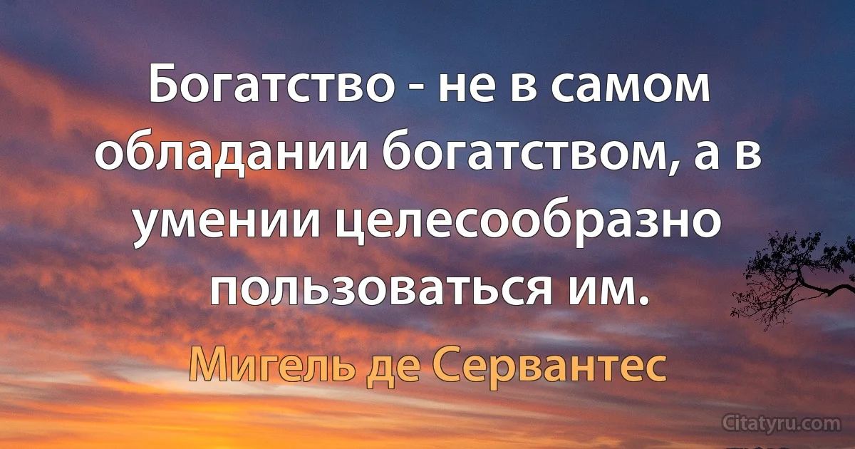 Богатство - не в самом обладании богатством, а в умении целесообразно пользоваться им. (Мигель де Сервантес)