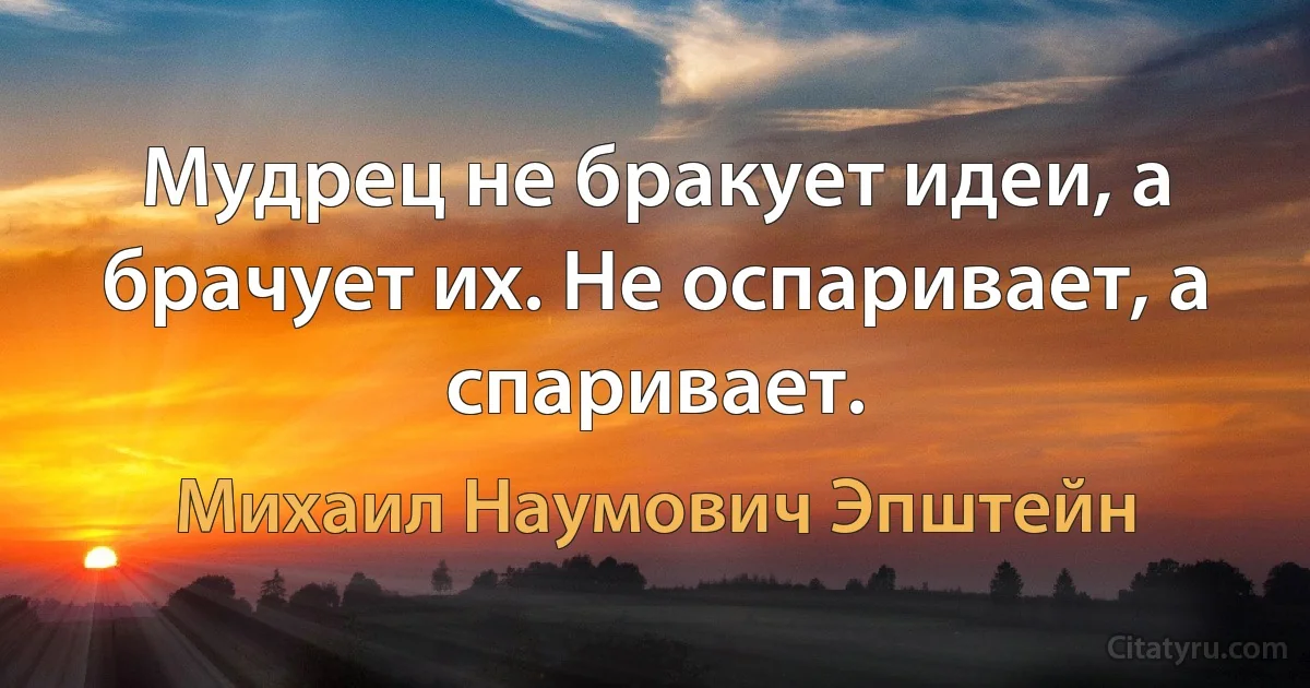 Мудрец не бракует идеи, а брачует их. Не оспаривает, а спаривает. (Михаил Наумович Эпштейн)