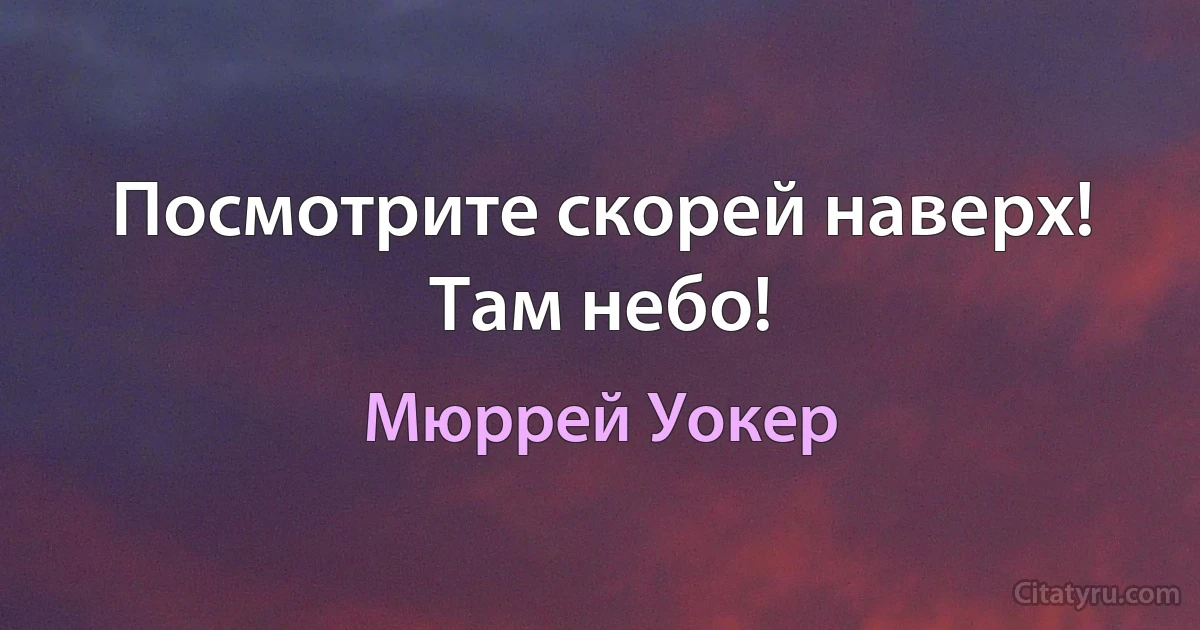 Посмотрите скорей наверх! Там небо! (Мюррей Уокер)