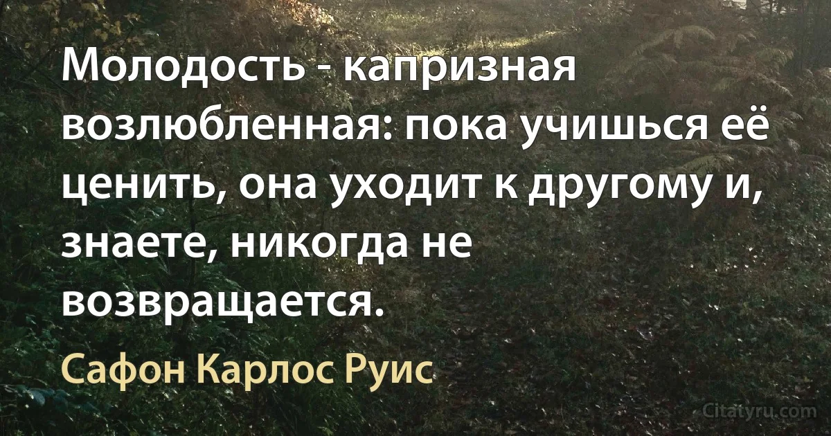 Молодость - капризная возлюбленная: пока учишься её ценить, она уходит к другому и, знаете, никогда не возвращается. (Сафон Карлос Руис)