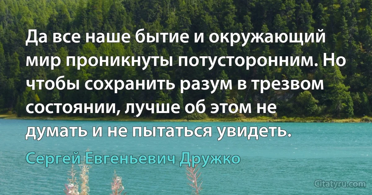 Да все наше бытие и окружающий мир проникнуты потусторонним. Но чтобы сохранить разум в трезвом состоянии, лучше об этом не думать и не пытаться увидеть. (Сергей Евгеньевич Дружко)