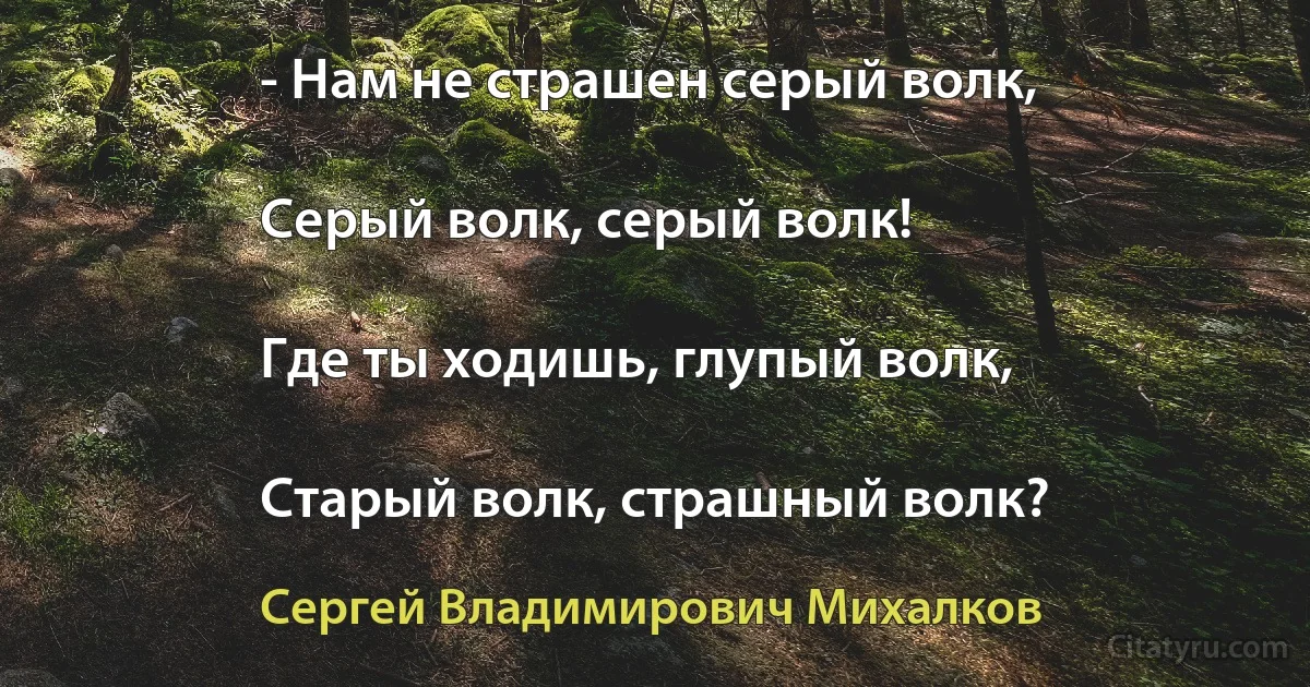 - Нам не страшен серый волк,

Серый волк, серый волк!

Где ты ходишь, глупый волк,

Старый волк, страшный волк? (Сергей Владимирович Михалков)