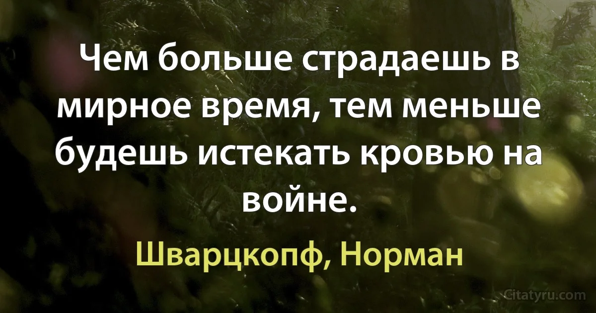 Чем больше страдаешь в мирное время, тем меньше будешь истекать кровью на войне. (Шварцкопф, Норман)