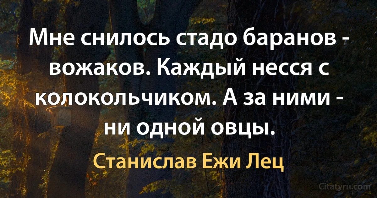 Мне снилось стадо баранов - вожаков. Каждый несся с колокольчиком. А за ними - ни одной овцы. (Станислав Ежи Лец)