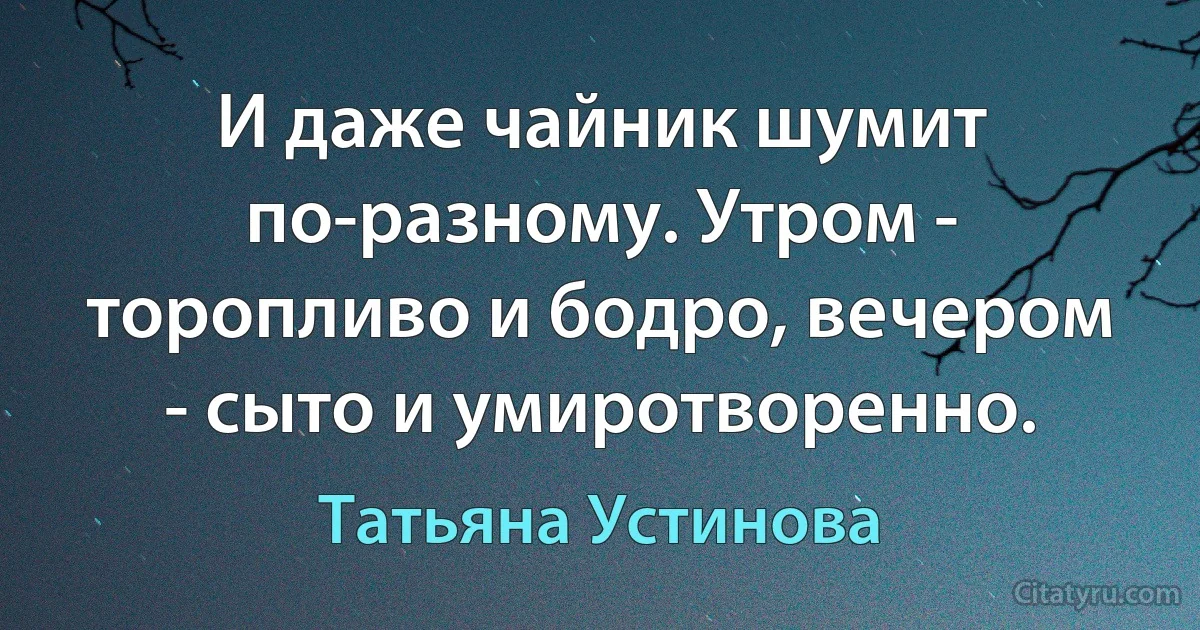 И даже чайник шумит по-разному. Утром - торопливо и бодро, вечером - сыто и умиротворенно. (Татьяна Устинова)