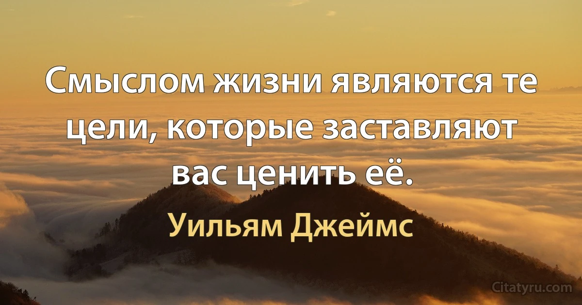 Смыслом жизни являются те цели, которые заставляют вас ценить её. (Уильям Джеймс)