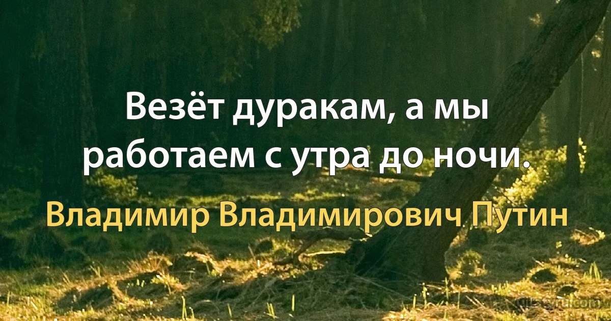 Везёт дуракам, а мы работаем с утра до ночи. (Владимир Владимирович Путин)