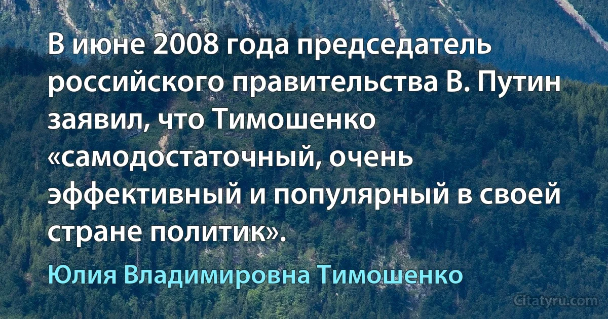 В июне 2008 года председатель российского правительства В. Путин заявил, что Тимошенко «самодостаточный, очень эффективный и популярный в своей стране политик». (Юлия Владимировна Тимошенко)