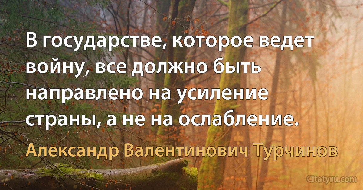 В государстве, которое ведет войну, все должно быть направлено на усиление страны, а не на ослабление. (Александр Валентинович Турчинов)