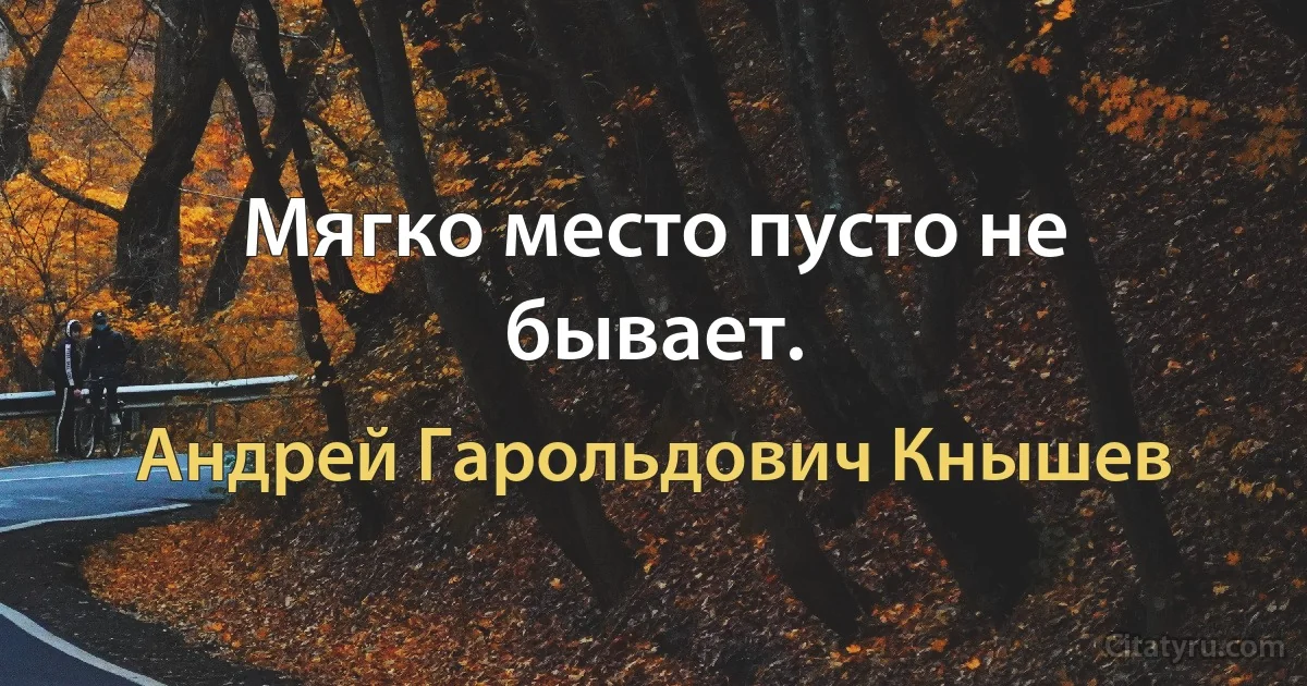 Мягко место пусто не бывает. (Андрей Гарольдович Кнышев)