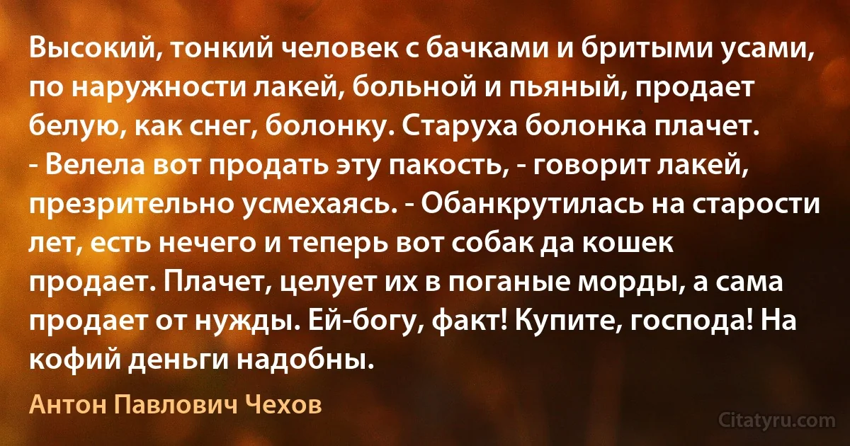 Высокий, тонкий человек с бачками и бритыми усами, по наружности лакей, больной и пьяный, продает белую, как снег, болонку. Старуха болонка плачет.
- Велела вот продать эту пакость, - говорит лакей, презрительно усмехаясь. - Обанкрутилась на старости лет, есть нечего и теперь вот собак да кошек продает. Плачет, целует их в поганые морды, а сама продает от нужды. Ей-богу, факт! Купите, господа! На кофий деньги надобны. (Антон Павлович Чехов)