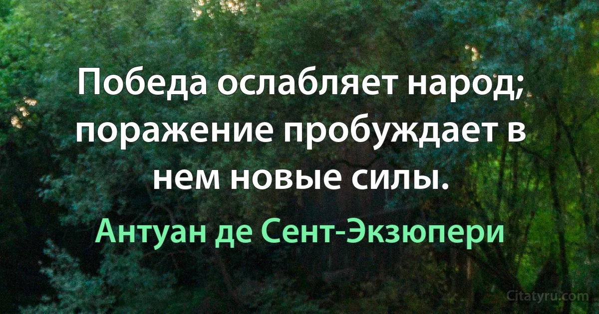 Победа ослабляет народ; поражение пробуждает в нем новые силы. (Антуан де Сент-Экзюпери)