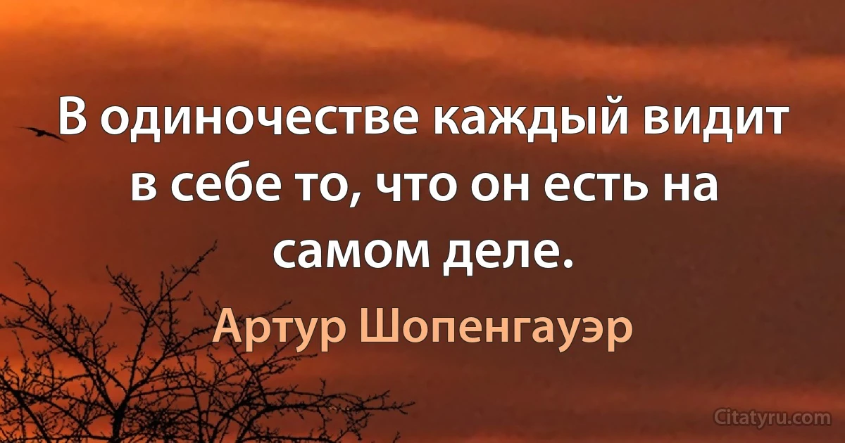 В одиночестве каждый видит в себе то, что он есть на самом деле. (Артур Шопенгауэр)