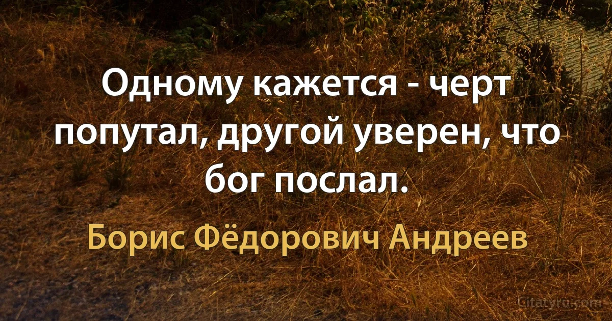 Одному кажется - черт попутал, другой уверен, что бог послал. (Борис Фёдорович Андреев)