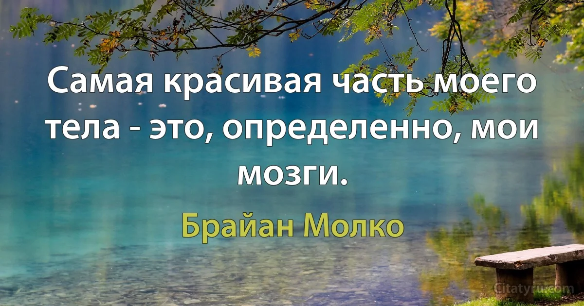 Самая красивая часть моего тела - это, определенно, мои мозги. (Брайан Молко)