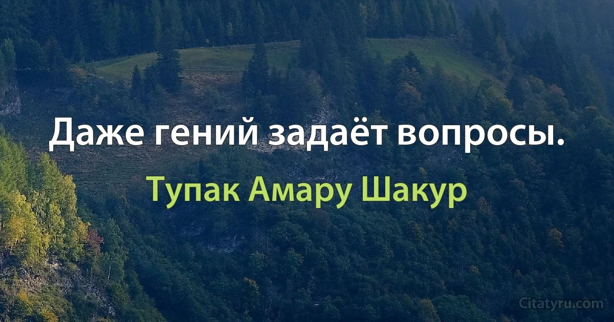 Даже гений задаёт вопросы. (Тупак Амару Шакур)
