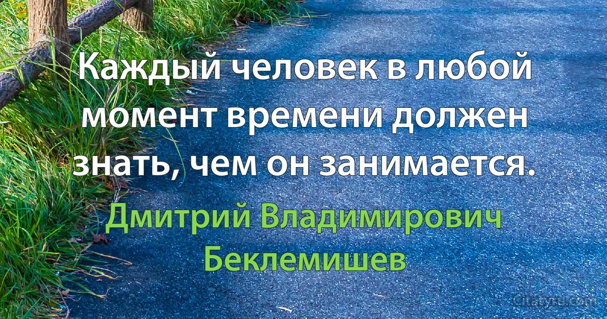 Каждый человек в любой момент времени должен знать, чем он занимается. (Дмитрий Владимирович Беклемишев)