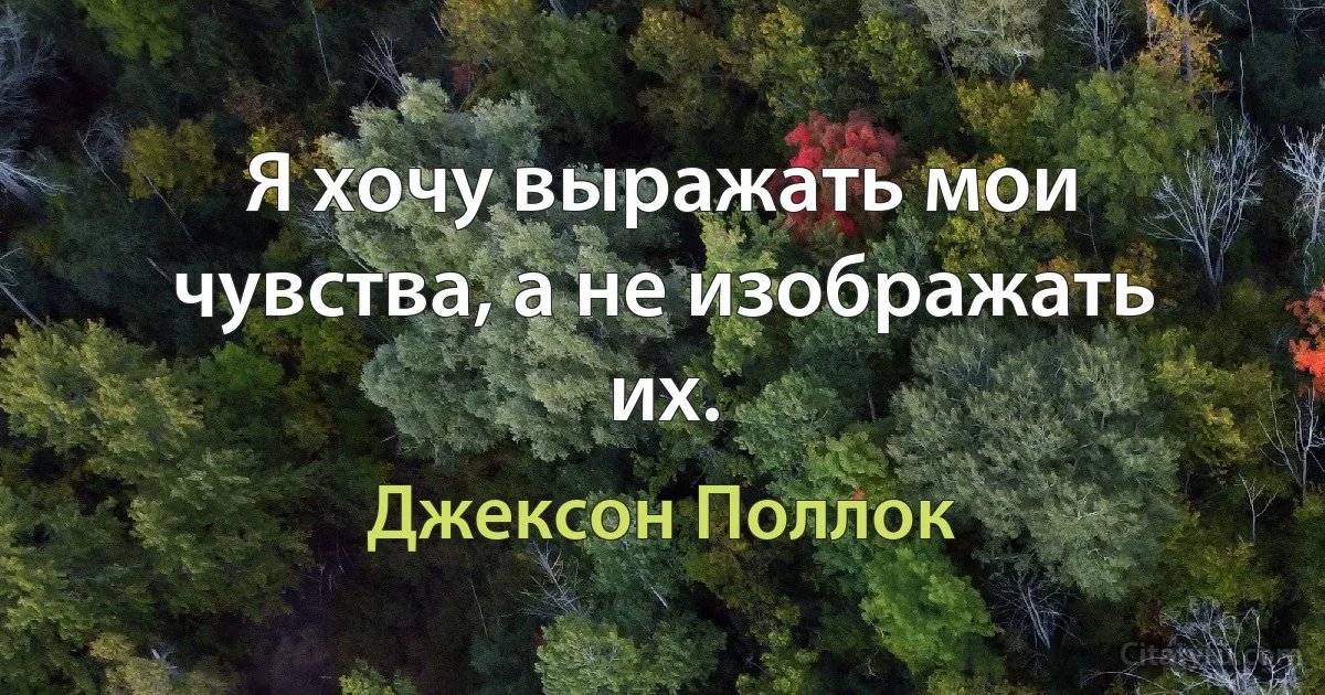 Я хочу выражать мои чувства, а не изображать их. (Джексон Поллок)