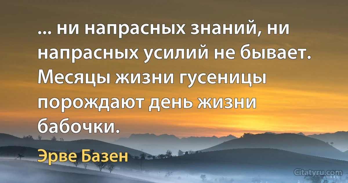 ... ни напрасных знаний, ни напрасных усилий не бывает. Месяцы жизни гусеницы порождают день жизни бабочки. (Эрве Базен)