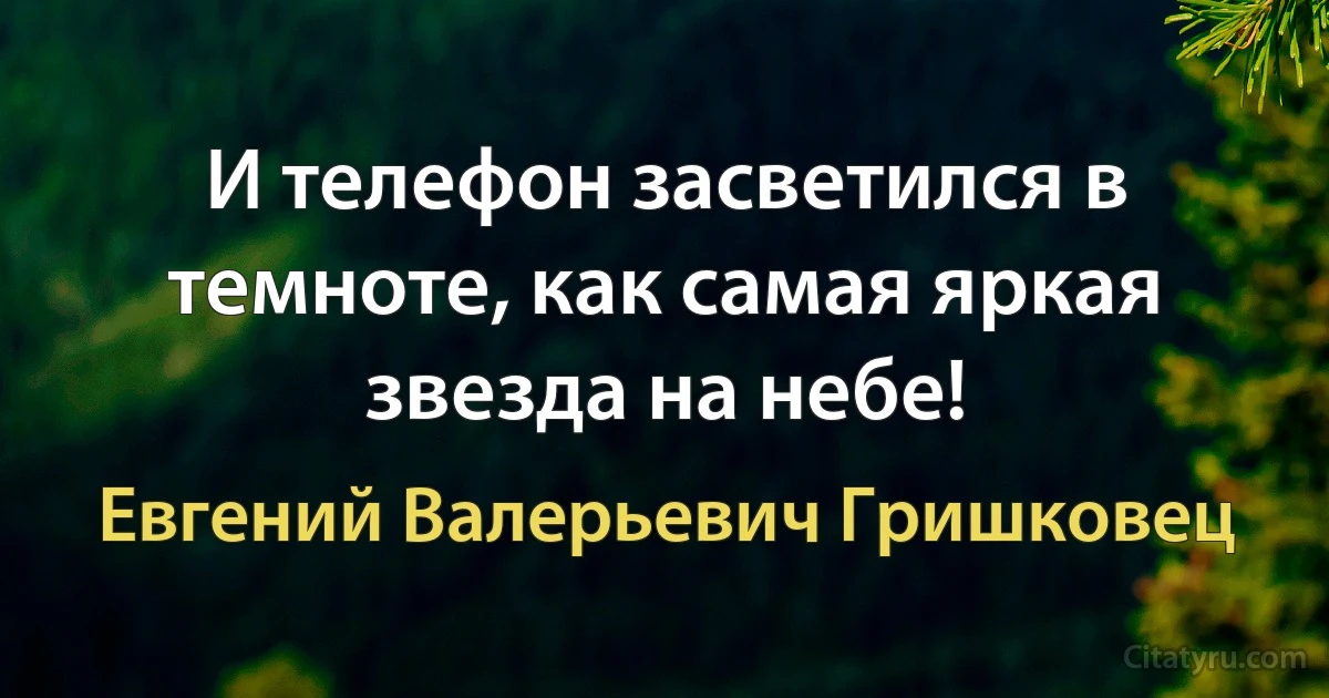 И телефон засветился в темноте, как самая яркая звезда на небе! (Евгений Валерьевич Гришковец)