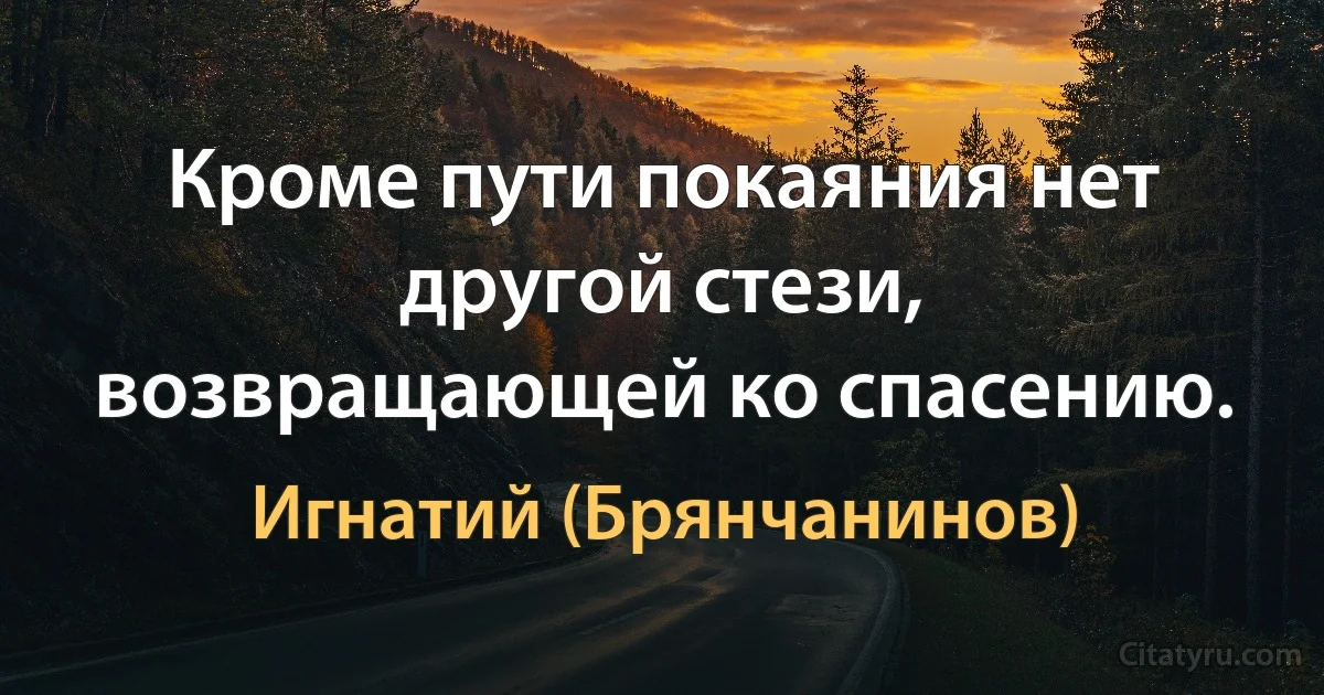 Кроме пути покаяния нет другой стези, возвращающей ко спасению. (Игнатий (Брянчанинов))