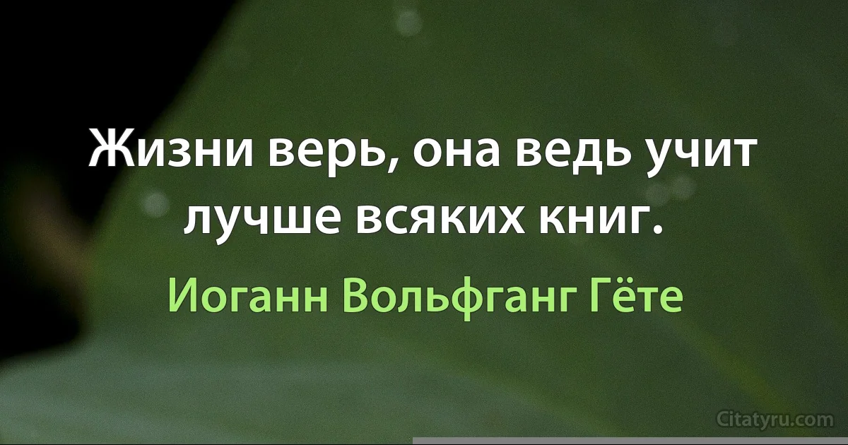 Жизни верь, она ведь учит лучше всяких книг. (Иоганн Вольфганг Гёте)