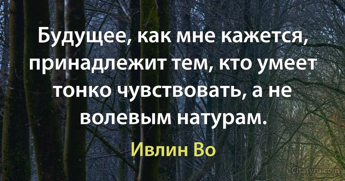 Будущее, как мне кажется, принадлежит тем, кто умеет тонко чувствовать, а не волевым натурам. (Ивлин Во)