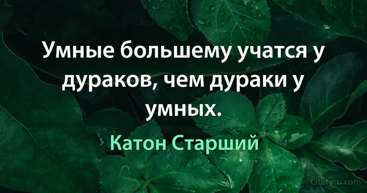 Умные большему учатся у дураков, чем дураки у умных. (Катон Старший)